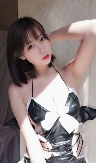 神犬小七第二季免费观看完整版